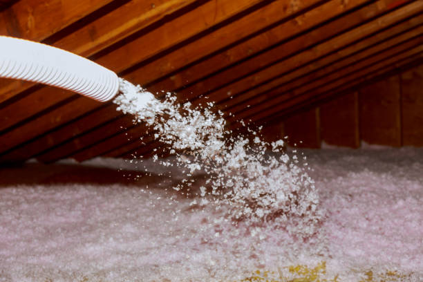 Best Geographic-Specific Insulation Services in Pioche, NV