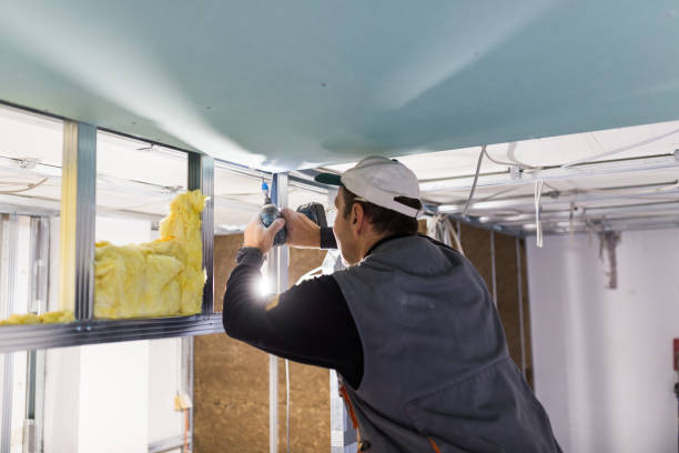Best Blown-in Insulation in Pioche, NV