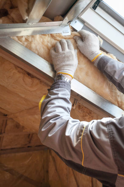 Best Energy Efficiency Insulation in Pioche, NV