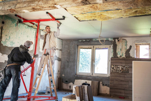 Best Spray Foam Insulation in Pioche, NV