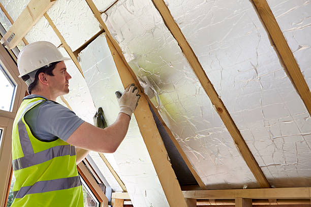 Best Residential Insulation in Pioche, NV