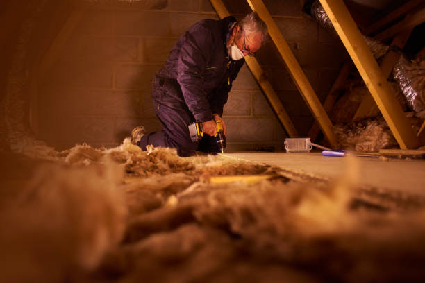 Types of Insulation We Offer in Pioche, NV